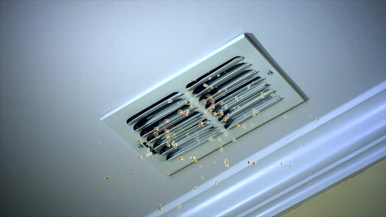 Best Air Vent Cleaning Services  in Imperial, NE